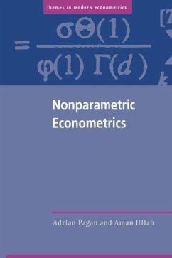 Nonparametric Econometrics (eBook, PDF) - Pagan, Adrian