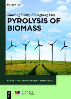 Pyrolysis of Biomass (eBook, ePUB) - Wang, Shurong; Luo, Zhongyang