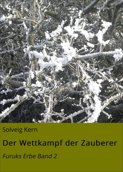 Der Wettkampf der Zauberer (eBook, ePUB) - Kern, Solveig