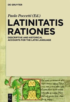 Latinitatis rationes (eBook, ePUB)