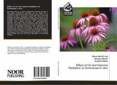 Effect of UV and Gamma Radiation on Echinacea In vitro - Abd EL Aal, Mona;Manaf, Hossam;Rabie, Kawthar