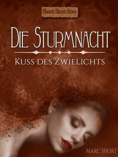 Die Sturmnacht (eBook, ePUB) - Short, Marc
