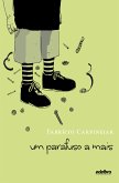 Um parafuso a mais (eBook, ePUB)