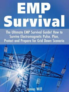 EMP Survival: The Ultimate EMP Survival Guide! How to Survive Electromagnetic Pulse. Plan, Protect and Prepare for Grid Down Scenario (eBook, ePUB) - Will, James