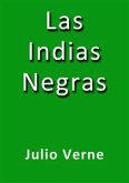 Las indias negras (eBook, ePUB)