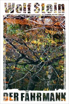 DER FÄHRMANN (eBook, ePUB) - Stein, Wolf