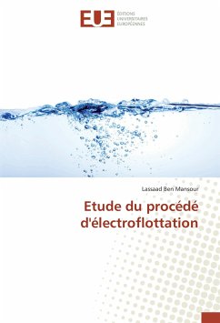 Etude du procédé d'électroflottation - Ben Mansour, Lassaad