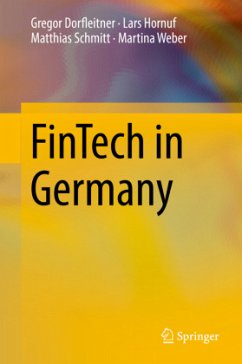 FinTech in Germany - Dorfleitner, Gregor;Hornuf, Lars;Schmitt, Matthias