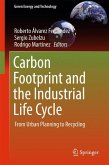 Carbon Footprint and the Industrial Life Cycle