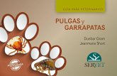 Pulgas Y Garrapatas. Guía Para Veterinarios