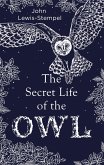 The Secret Life of the Owl (eBook, ePUB)