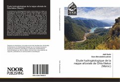 Etude hydrogéologique de la nappe alluviale de Ghis-Nekor (Maroc) - Salhi, Adil;Benabdelouahab, Sara