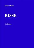 Risse (eBook, ePUB)