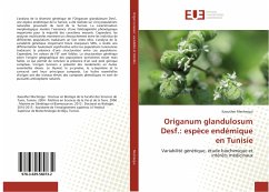 Origanum glandulosum Desf.: espèce endémique en Tunisie - Mechergui, Kaouther