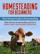 Homesteading for Beginners: The... - Bild 1