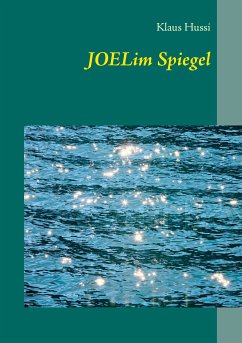 Joel im Spiegel (eBook, ePUB)