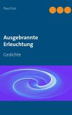 Ausgebrannte Erleuchtung (eBook, ePUB)