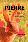 P I E R R E (eBook, ePUB)