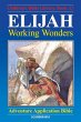 Elijah - Working Wonders (eBook, ePUB) - Bild 1