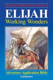 Elijah - Working Wonders (eBook, ePUB)