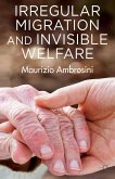 Irregular Migration and Invisible Welfare (eBook, PDF)