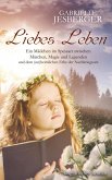 Liebes Leben (eBook, ePUB)