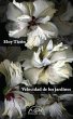 Velocidad de los jardines - Bild 1