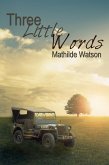 Three Little Words (eBook, ePUB)