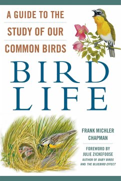 Bird Life - Chapman, Frank Michler