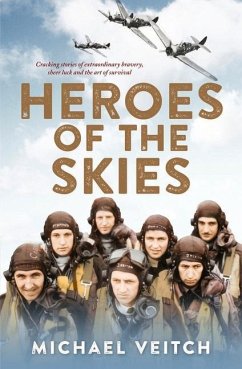 Heroes of the Skies - Veitch, Michael