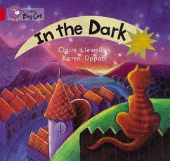 In the Dark Workbook - Llewellyn, Claire