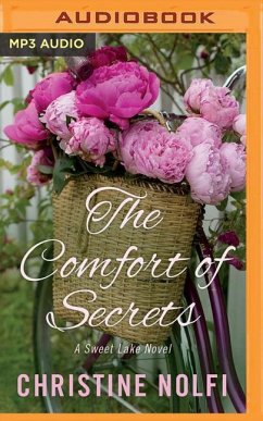 The Comfort of Secrets - Nolfi, Christine