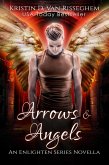 Arrows & Angels (Enlighten Series, #4) (eBook, ePUB)