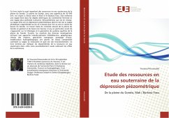Etude des ressources en eau souterraine de la dépression piézométrique - Koussoubé, Youssouf