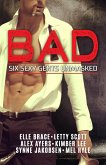 Bad: Six Sexy Gents Unmasked (eBook, ePUB)