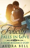 Felicity Falls in Love (The Love Series) (eBook, ePUB)