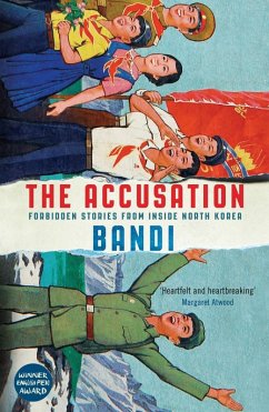 The Accusation (eBook, ePUB) - Bandi