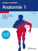 Anatomie