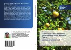 Overview of Citrus Exocortis Viroid and Hop Stunt Viroid in Taiwan