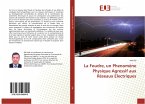 La Foudre, un Phenomène Physique Agressif aux Réseaux Electriques