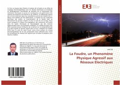 La Foudre, un Phenomène Physique Agressif aux Réseaux Electriques - Dib, Jalel