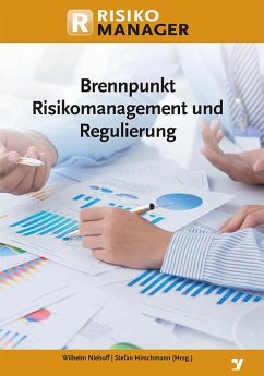 Brennpunkt Risikomanagement und Regulierung (eBook, PDF)