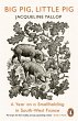 Big Pig, Little Pig (eBook, ePUB) - Bild 1