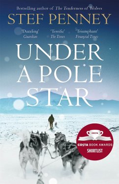 Under a Pole Star - Penney, Stef