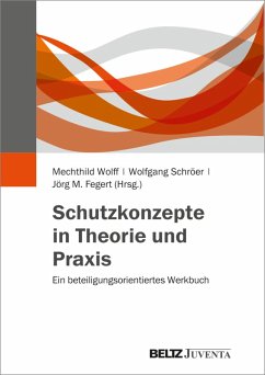 Schutzkonzepte in Theorie und Praxis (eBook, PDF)