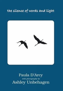 The Silence of Words and Light - D'Arcy, Paula