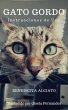 Gato Gordo. Instrucciones de uso... - Bild 1