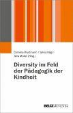 Diversity im Feld der Pädagogik der Kindheit (eBook, PDF)