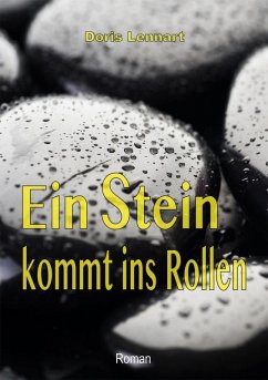 Cover Ein Stein kommt ins Rollen (eBook, PDF)