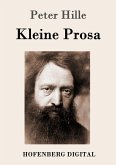 Kleine Prosa (eBook, ePUB)